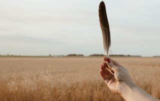 black feather